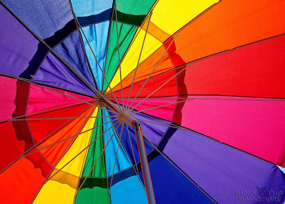 Rainbow Umbrella - Farmer's Market in Golden, CO
